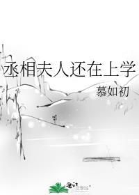 丞相夫人还在上学百度