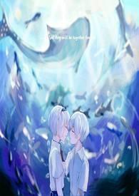 或许可以相恋 电视剧一共多少集