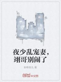 夜少别乱来萌妻是美男